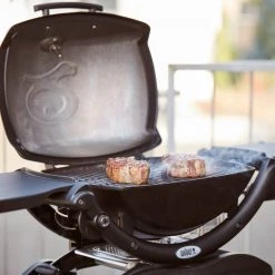 Weber Q 1200 Gasgrill