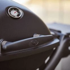 Weber Q 1200 Gasgrill