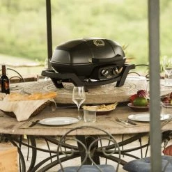 Gasgrills Napoleon TravelQ PRO285