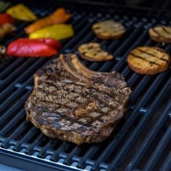 Char Broil Professional 3400 S